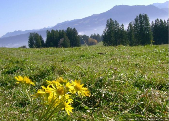 Allgäu