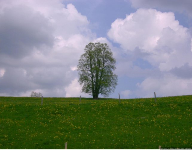 Allgäu