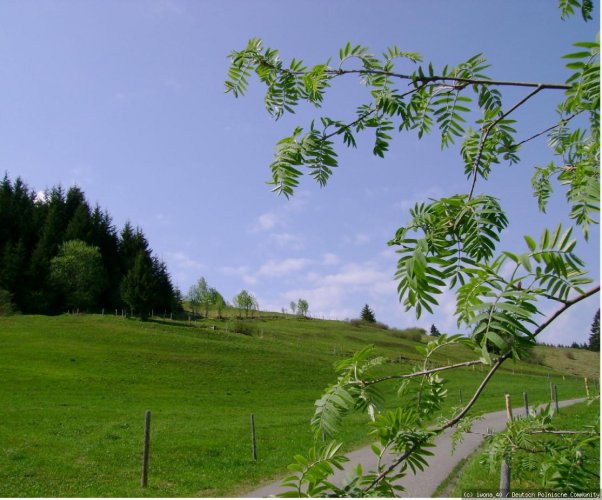Allgäu