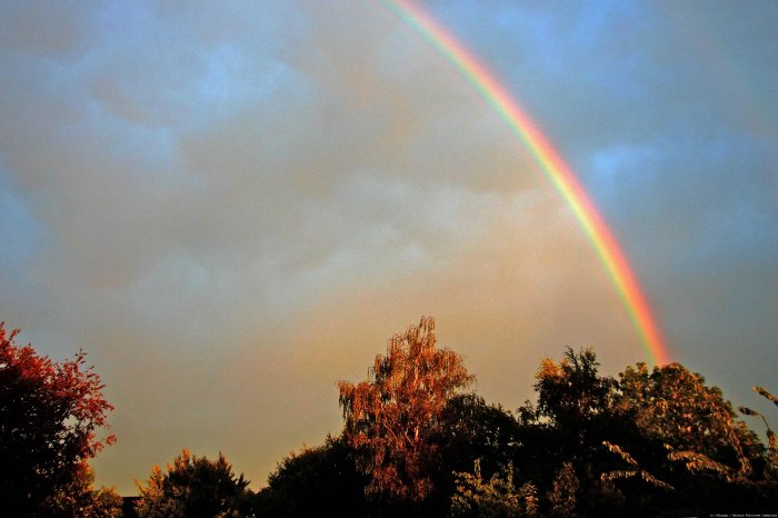 Regenbogen - die schöne Seite des Regens