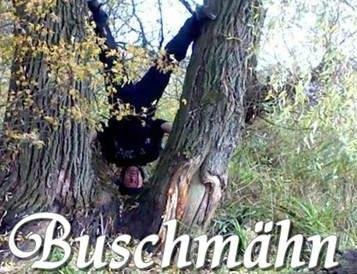 Buschmähn,s-Welt2