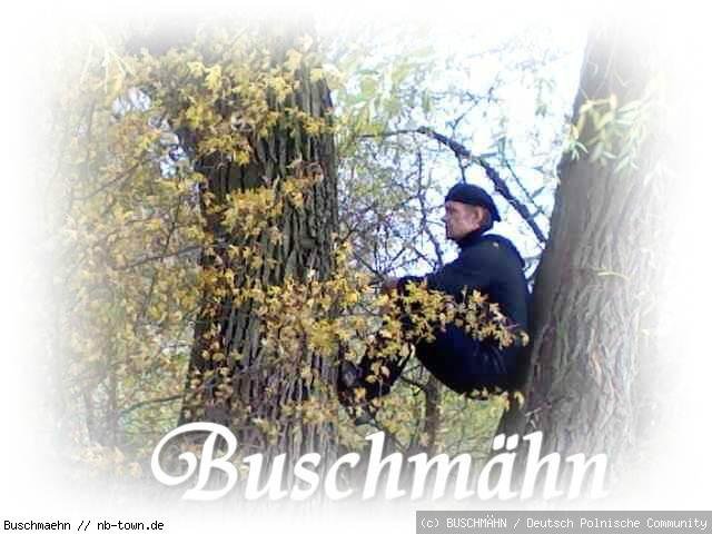 Buschmähn,s-Welt3