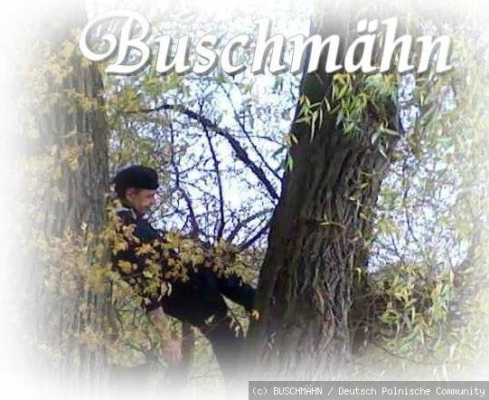 Buschmähn,s-Welt4