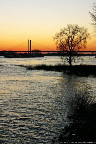 Sonnenuntergang in Rees am Niederrhein