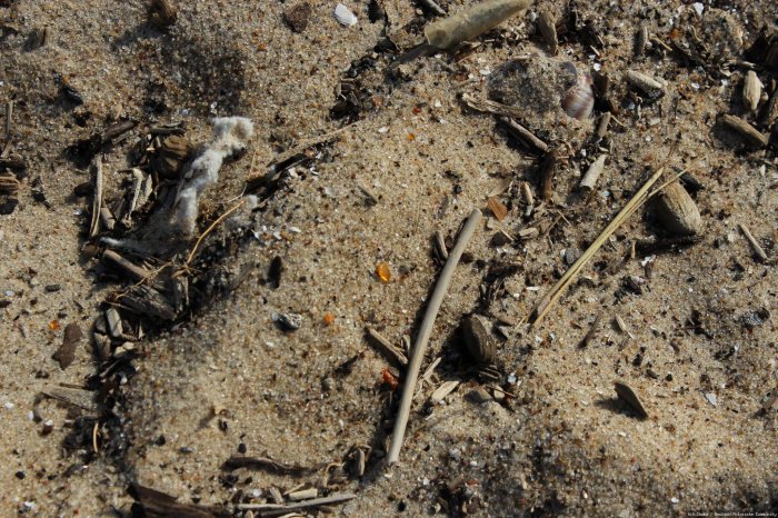 am Strand 6