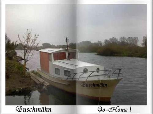 Buschmähn