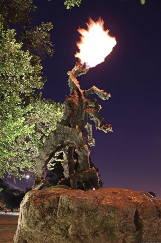 Smok / Drache