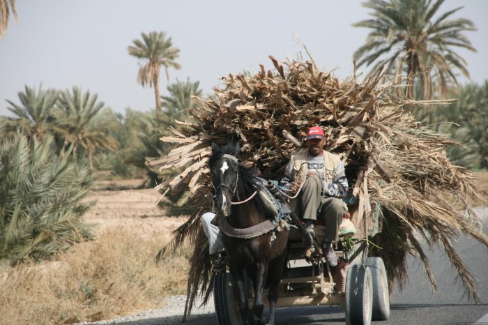 Marocco