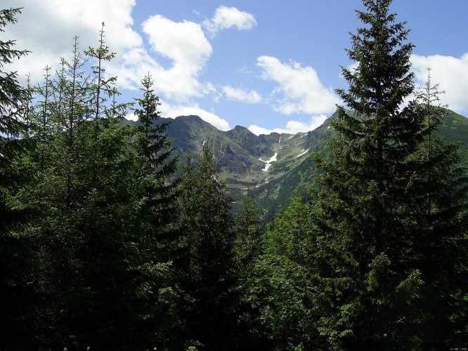Widok
