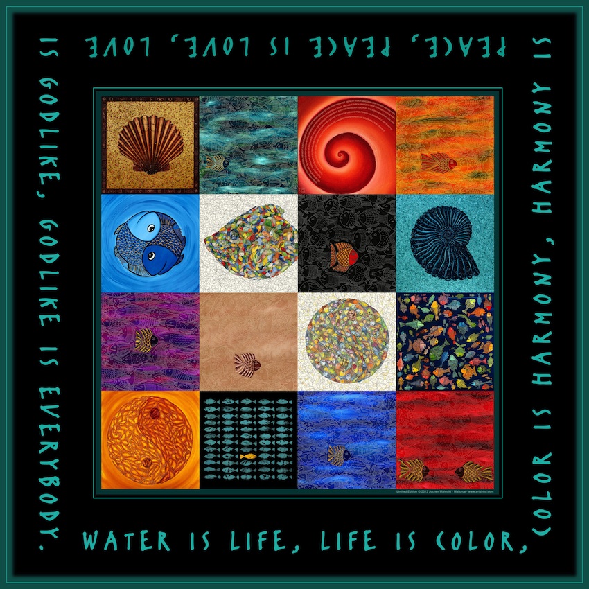 Collage Agua 2013