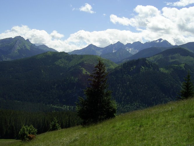 Ausschnitt