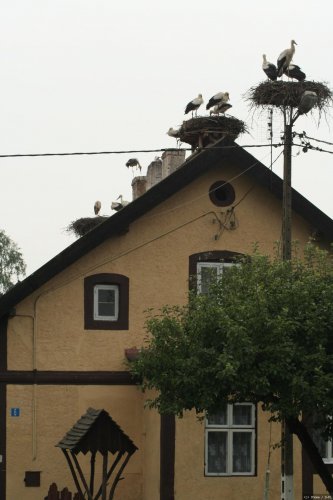 Warmia / Mazury - Storchenland