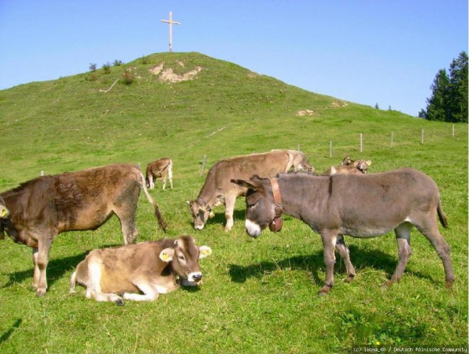 Allgäu