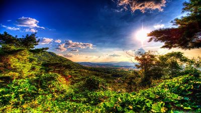 Natur
