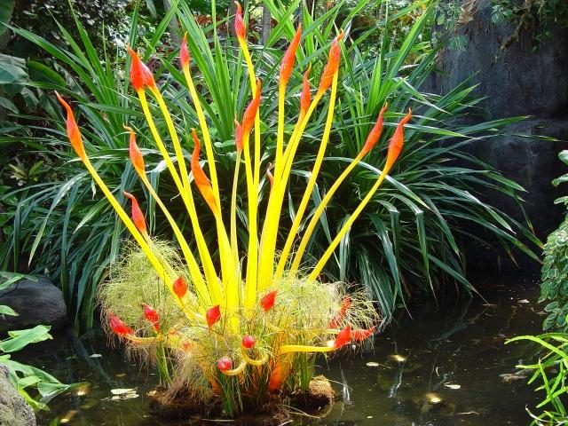 die Kunst der Natur