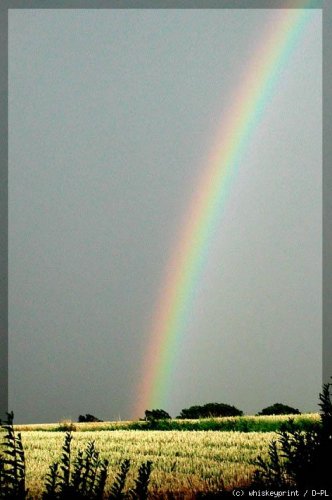 regenbogen in r