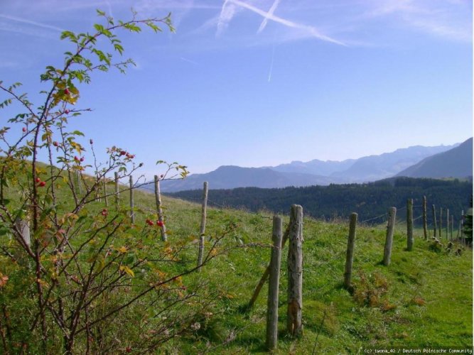 Allgäu