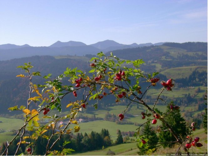 Allgäu