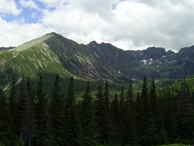 Tatra