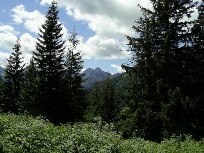 Ausblick