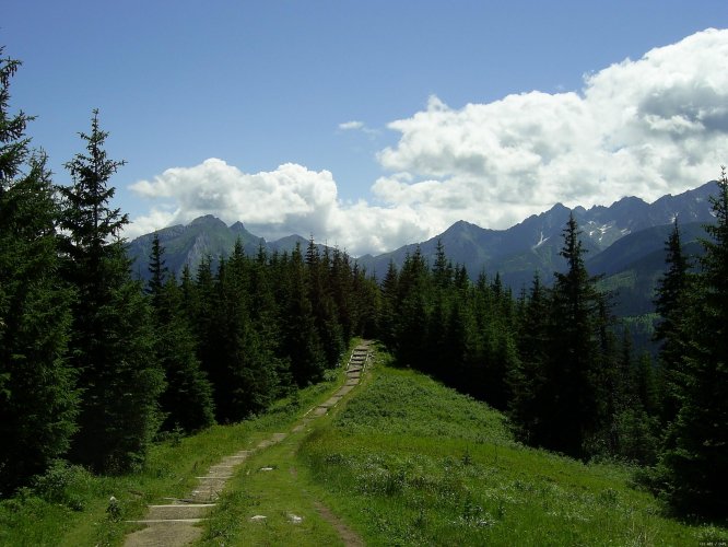 Tatra