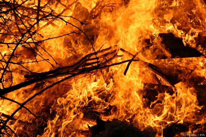 Feuer