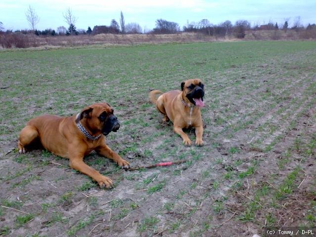 Tina & Freund