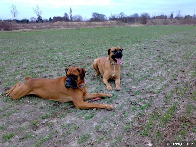 Tina & Smu