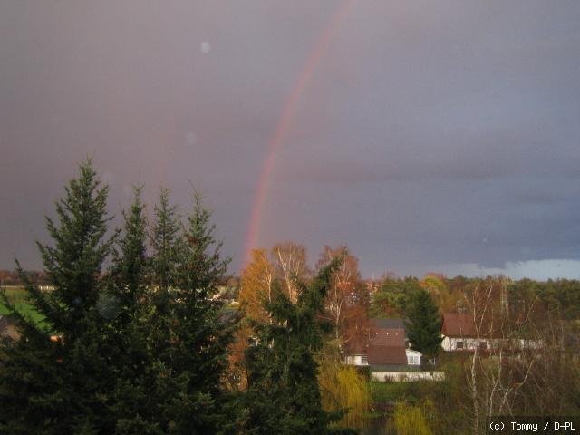 Regenbogen