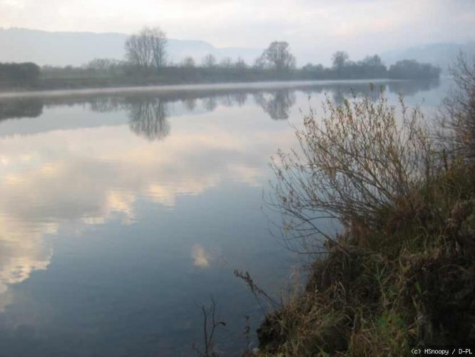 Sonnenaufgang an der Mosel