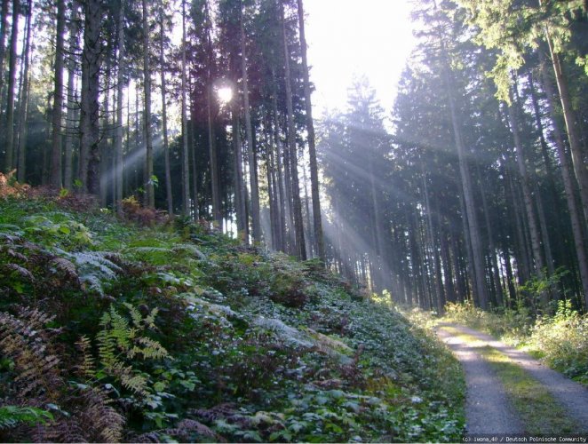 Allgäu