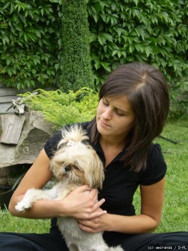 mein Hund