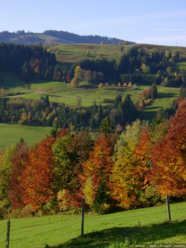Allgäu