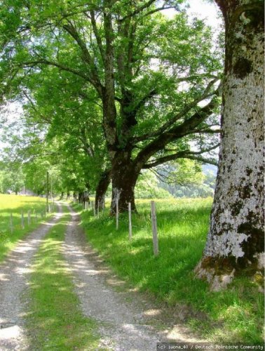 Allgäu
