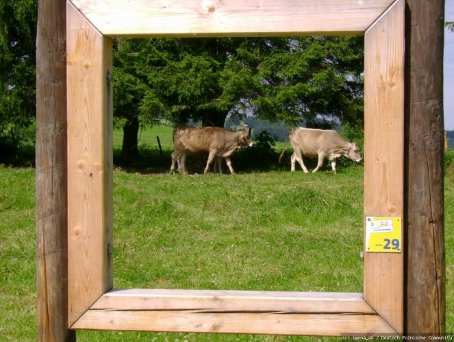 Allgäu