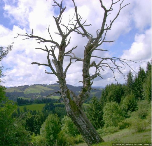 Allgäu