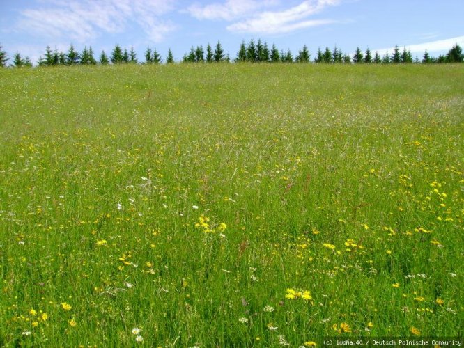 Allgäu