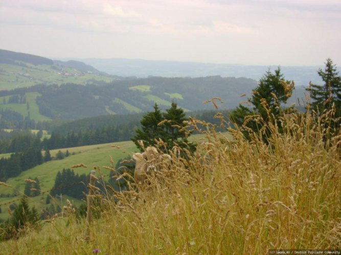 Allgäu