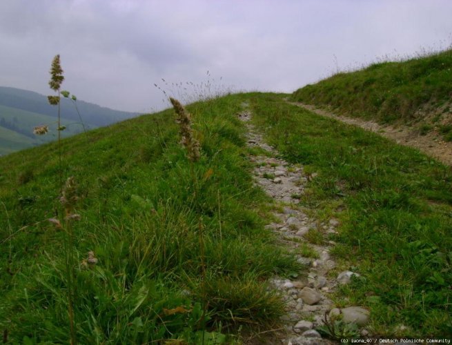 Allgäu