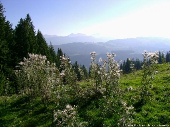 Allgäu