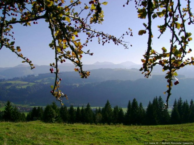 Allgäu