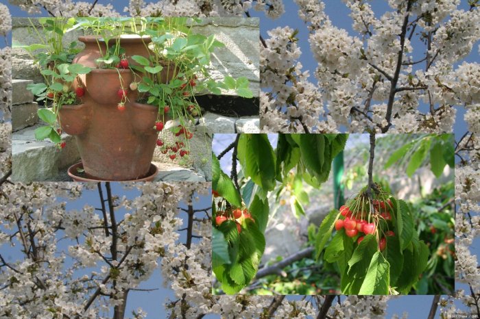 Sommerzeit...