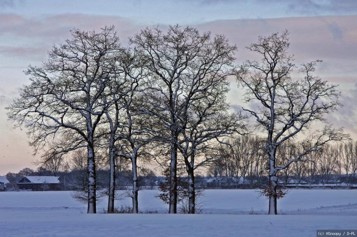 Winterlandschaft - Sonnenaufgang