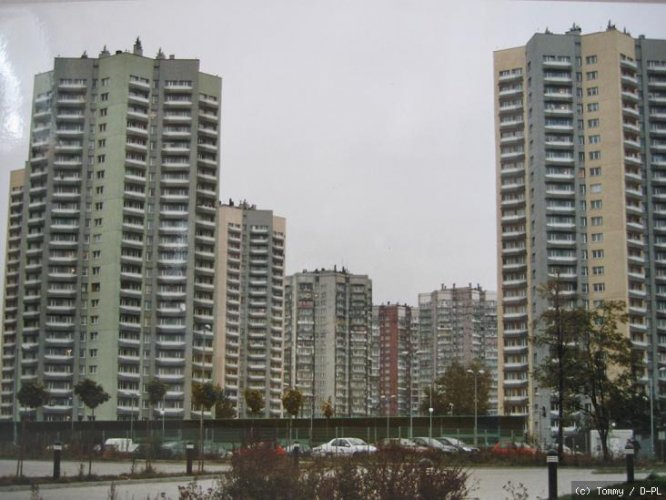 Bild3