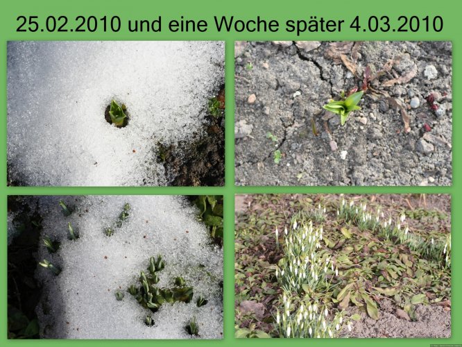 Erwachen der Natur
