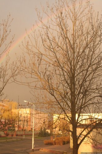 Regenbogen
