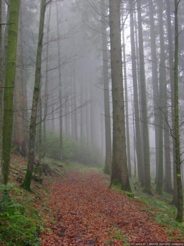 Allgäu