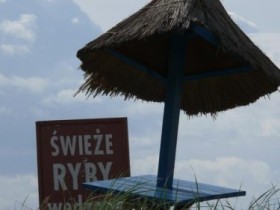 P1060249