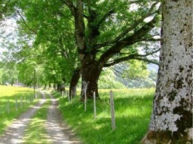 Allgäu
