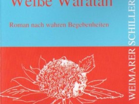 Weiße Waratah